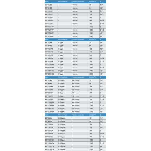 Filtre Pour Réseau d'Air Comprimé BST 700 RA